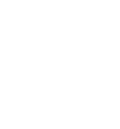 Logo Footer